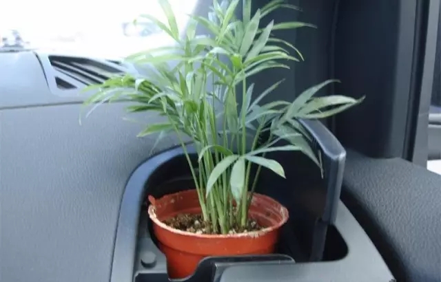 新車除醛，車內除甲醛什么辦法***？