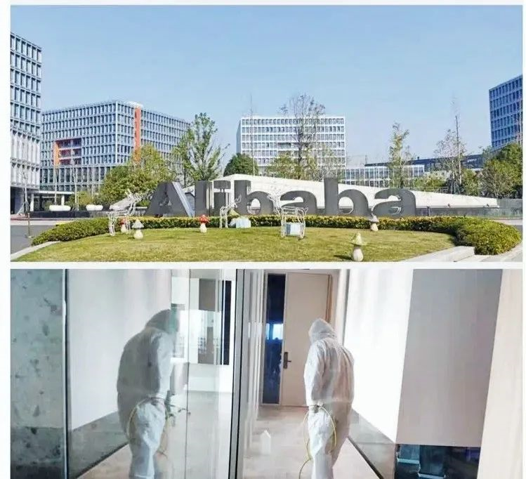 吾志所向，一往無前 | 創綠家2020年大事記
