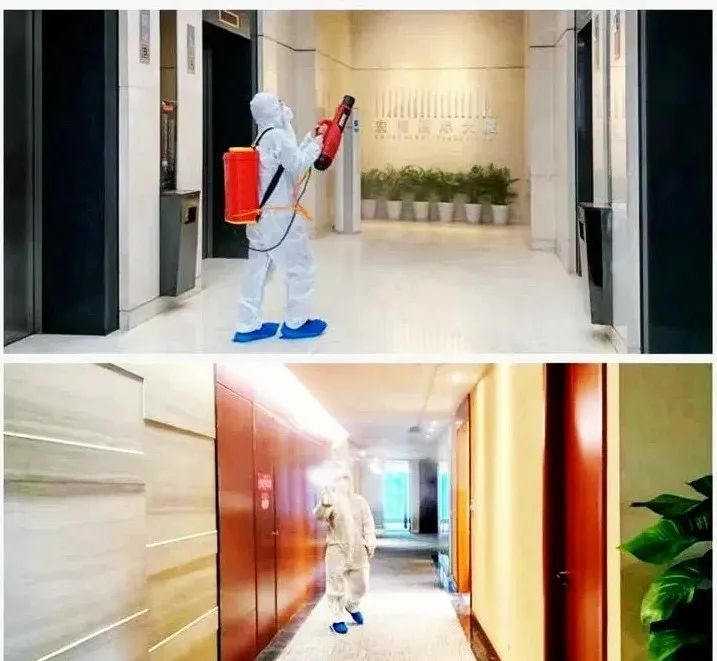 吾志所向，一往無前 | 創綠家2020年大事記