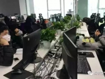 成都一公司邊裝修邊辦公，裝修味道嗆人 員工戴防毒面具辦公