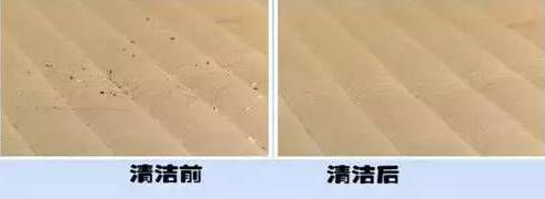 南京美女睡了10年的床墊，掀開后把全家人都嚇傻了……